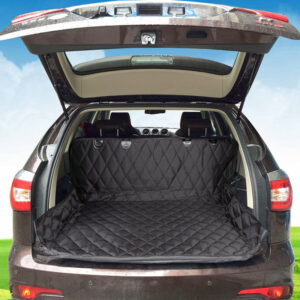 car-pet-mat