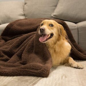 plush-pet-blanket-dog-mat-cat-mat-pet-air-conditioning-mat-pet-plush-mat