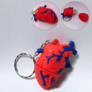 creative-human-organs-u-disk-internal-organs-brain-lip-print
