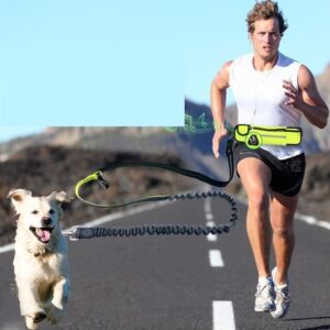 hands-free-dog-running-leash-with-waist-pocket-adjustable-belt-shock-absorbing-bungee